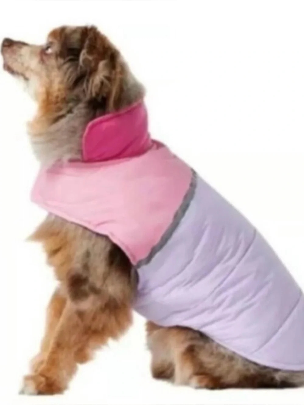 32 Degrees Pink & Lavender Dog Puffer Jacket- NWOT
